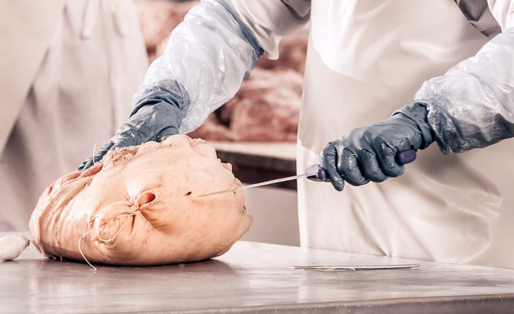 Lenti - Legatura e stampaggio